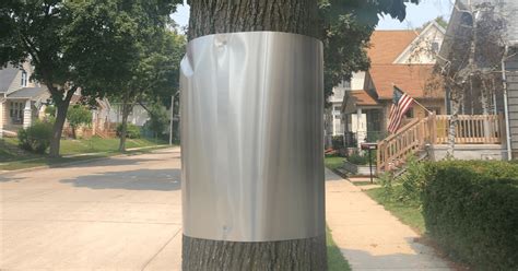 sheet metal tree baffle|metal cuffs wrapped around tree.